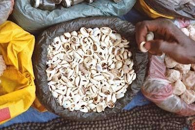 SYSTÈME DE DIVINATION POUR COMPRENDRE LE CAURIS